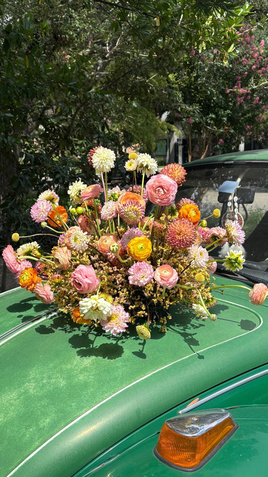 The Vase-less Collection