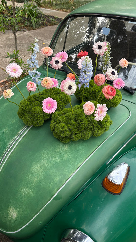 Fairy Garden